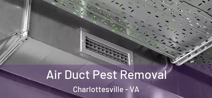  Air Duct Pest Removal Charlottesville - VA