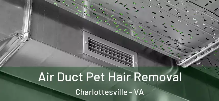 Air Duct Pet Hair Removal Charlottesville - VA
