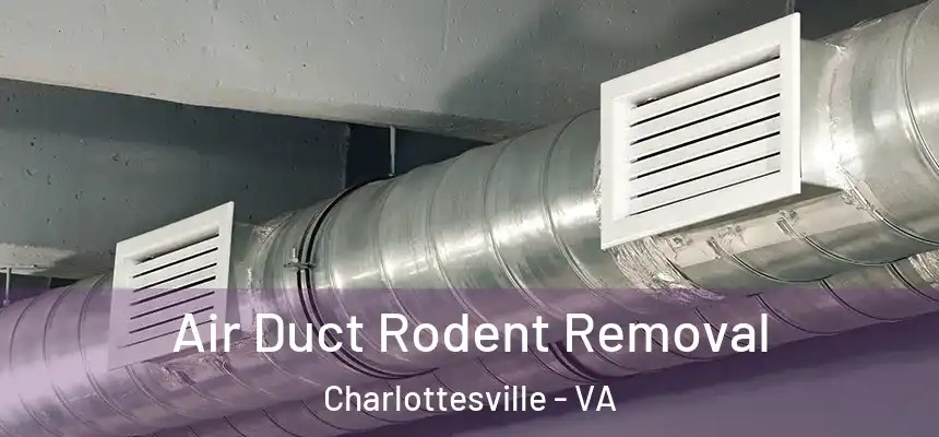 Air Duct Rodent Removal Charlottesville - VA