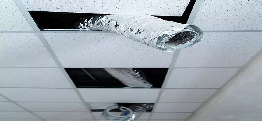 Affordable HVAC Sanitizing After Pest Removal in Charlottesville