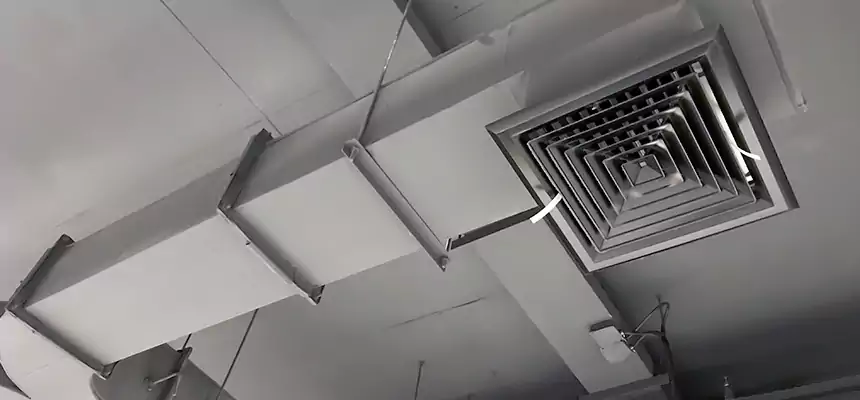 Restorative Allergy Relief Vent Cleaning – Coil, Blower & Housing Detail in Charlottesville