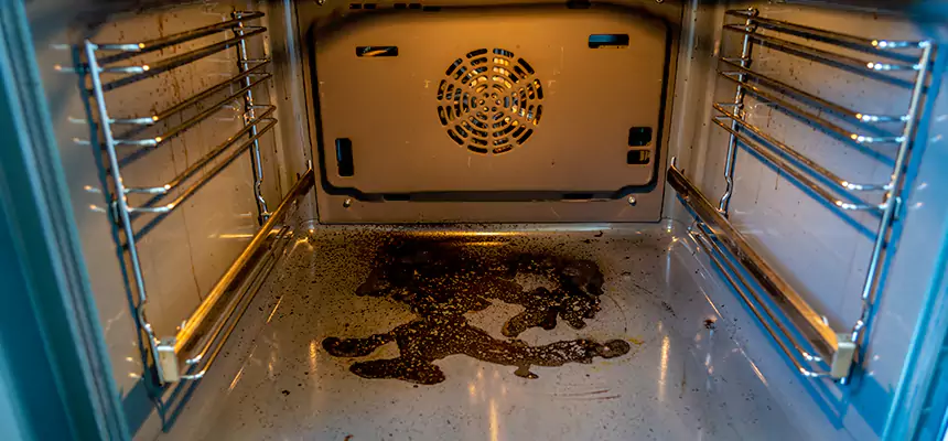 Our Dryer Vent Mold Cleaning Services in Charlottesville, VA