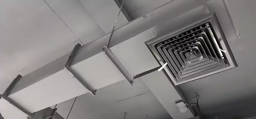 Our Pest Removal From Ducts Services in Charlottesville, VA