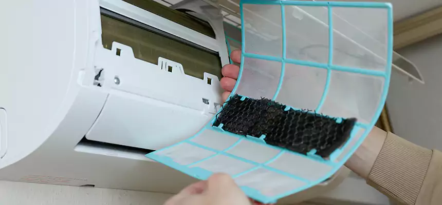 Gentle Ductwork Odor-Control Pet Dander Duct Cleaning in Charlottesville, VA