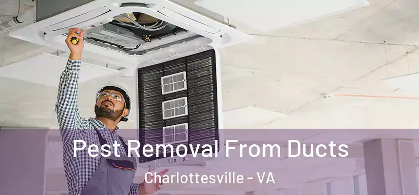  Pest Removal From Ducts Charlottesville - VA