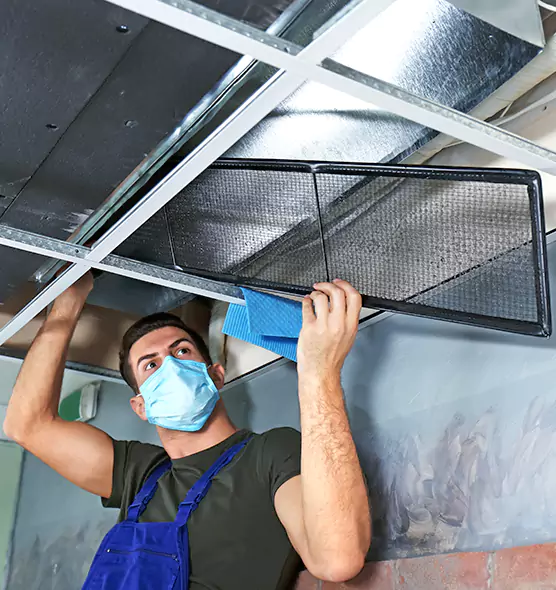 About Air Duct Bacteria Removal in Charlottesville