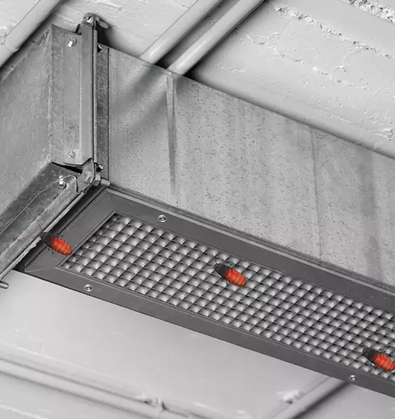 Affordable Insect Removal from Air Ducts in Charlottesville, VA