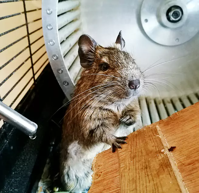 Why Homeowners & Businesses Trust Us Charlottesville, VA?