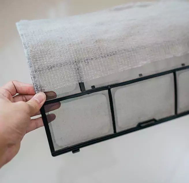 Why Homeowners & Businesses Trust Us in Charlottesville, VA?