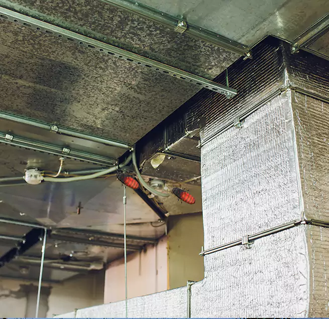 Why Homeowners & Businesses Trust Us Charlottesville, VA?